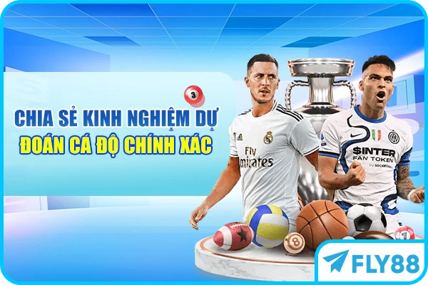 Chia sẻ kinh nghiệm dự đoán cá độ chính xác