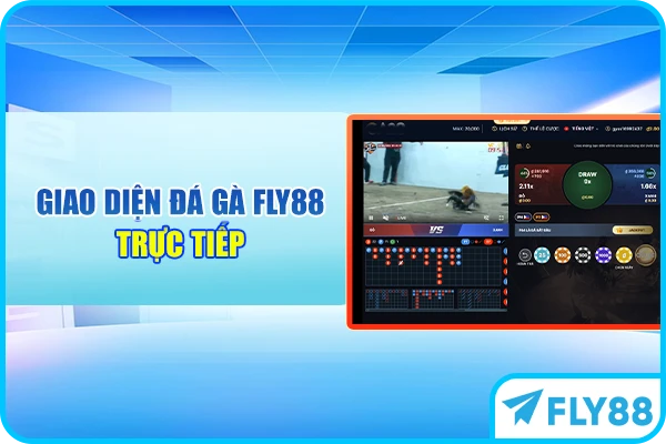 Giao diện đá gà FLY88 trực tiếp