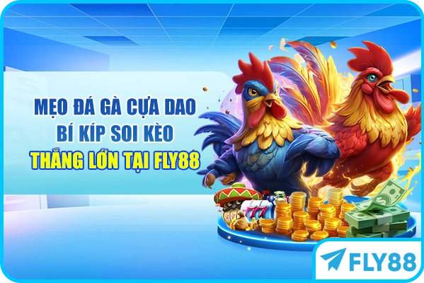 Mẹo Đá Gà Cựa Dao - Bí Kíp Soi Kèo Thắng Lớn Tại FLY88