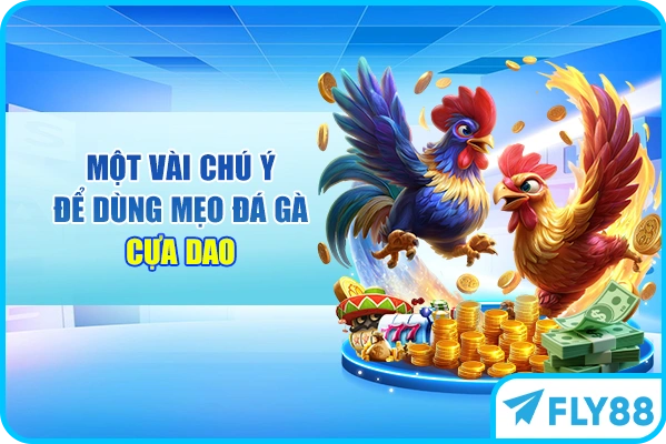 Một vài chú ý để dùng mẹo đá gà cựa dao