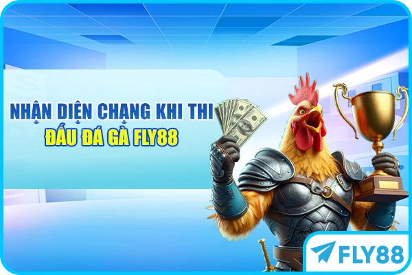 Nhận diện chạng khi thi đấu đá gà FLY88
