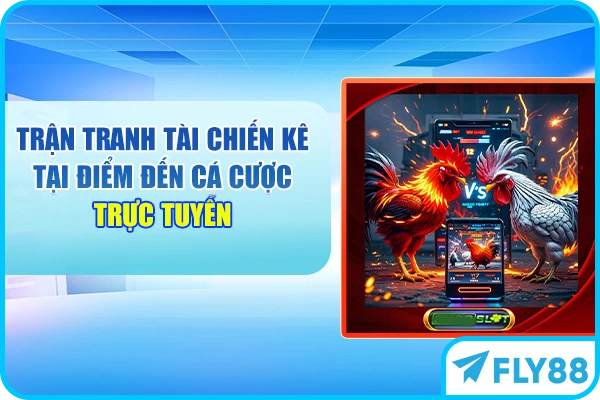 Trận tranh tài chiến kê tại điểm đến cá cược trực tuyến