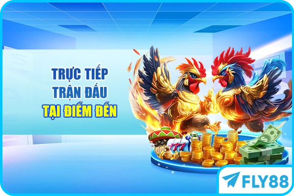 Trực tiếp trận đấu tại điểm đến