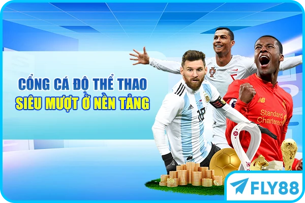 Cổng cá độ thể thao siêu mượt ở nền tảng