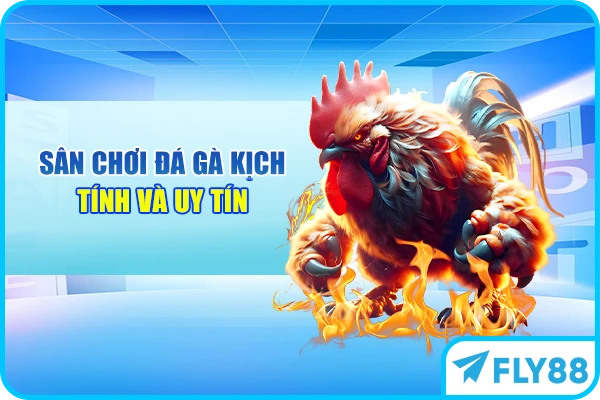 Sân chơi đá gà kịch tính và uy tín